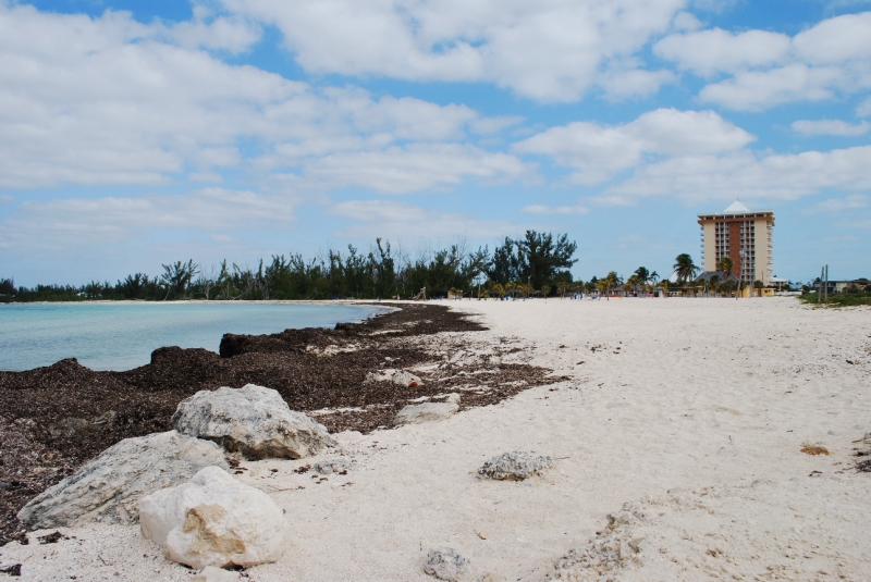 DSC_0027.JPG - On Xanadu Beach, with resort in background.