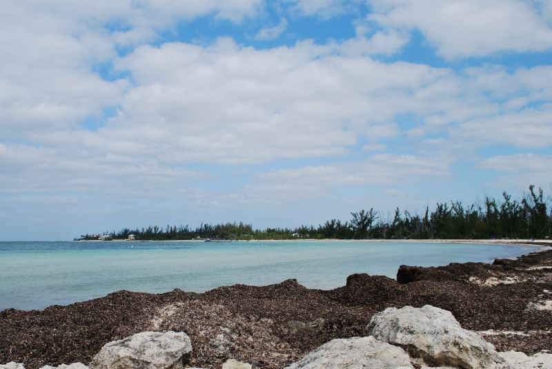 DSC_0028.JPG