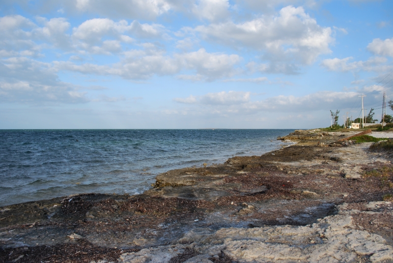 DSC_0043.JPG