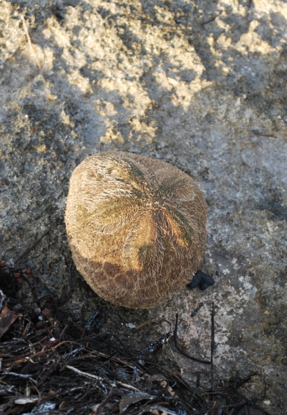 DSC_0044.JPG