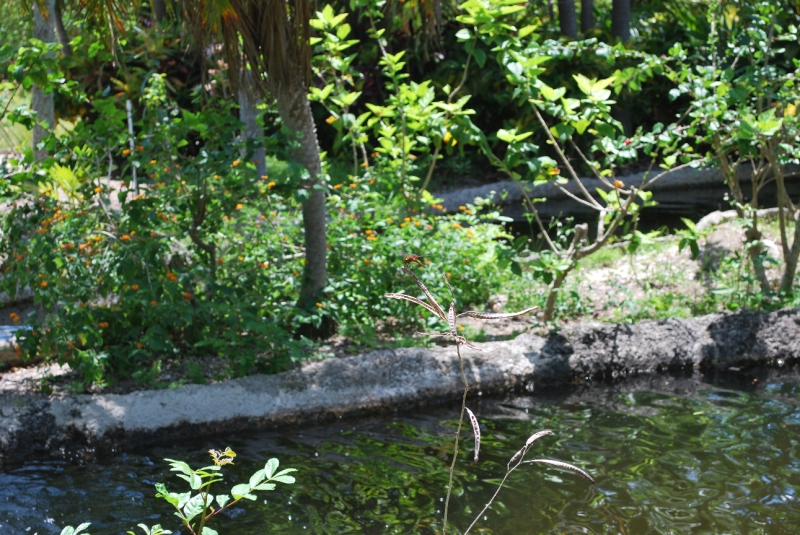 DSC_0066.JPG