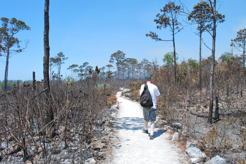 DSC_0017.JPG - Started the hike toward the caves.