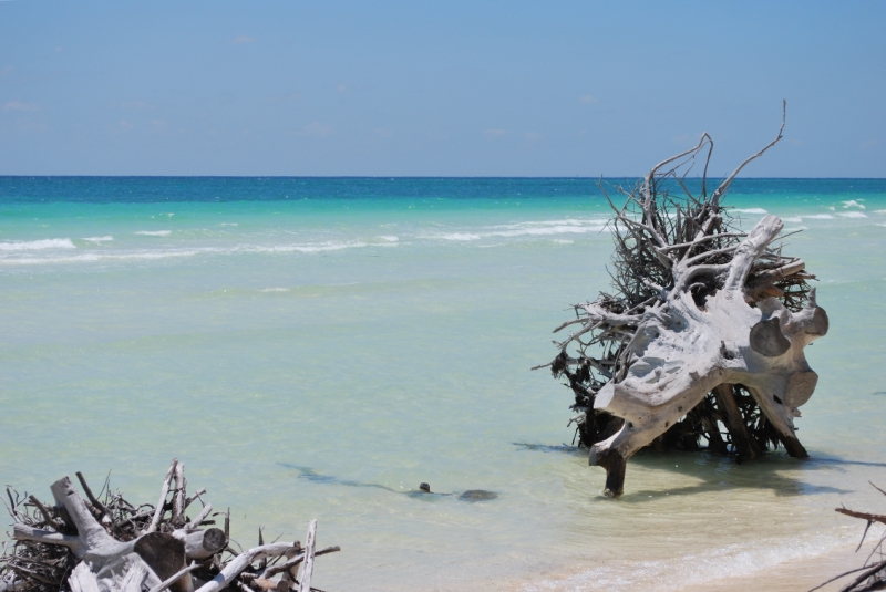 DSC_0053.JPG