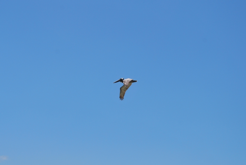 DSC_0058.JPG