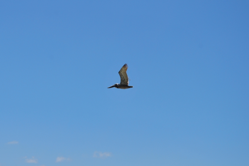 DSC_0059.JPG