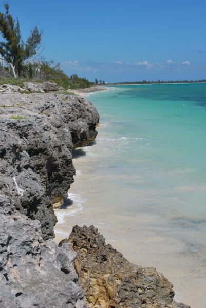 DSC_0120.JPG