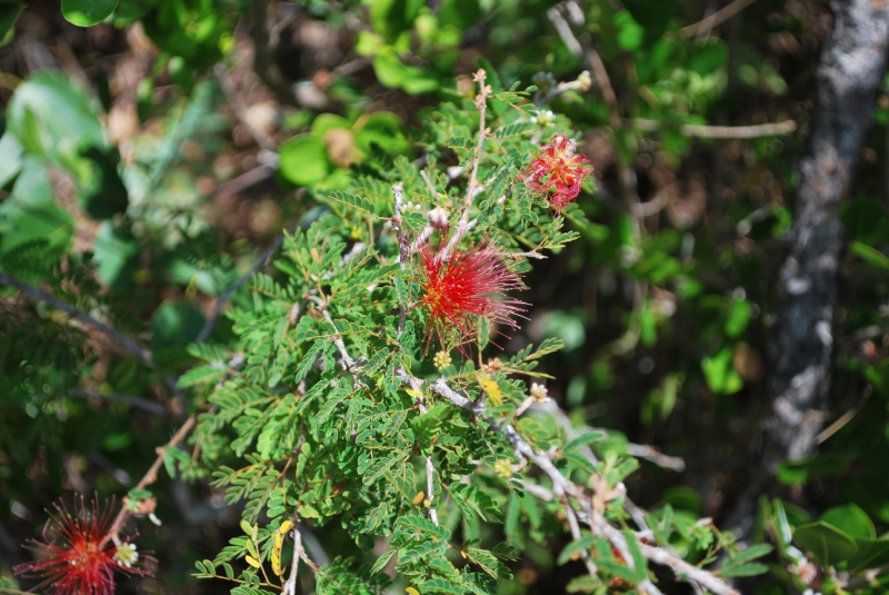 DSC_0003.JPG