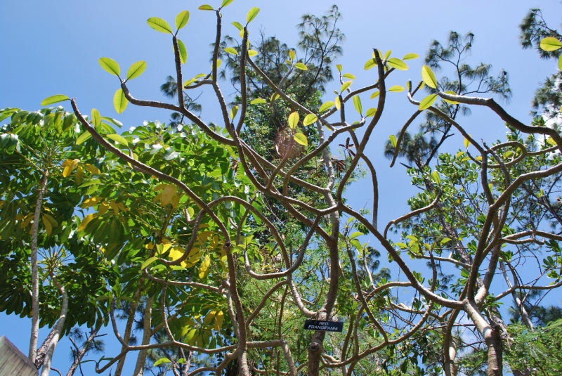 DSC_0010.JPG