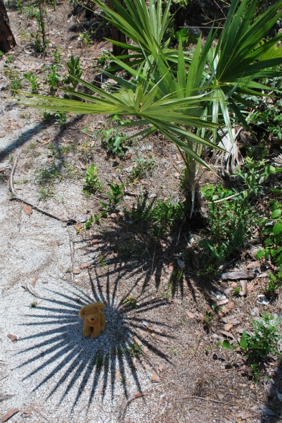 DSC_0022.JPG