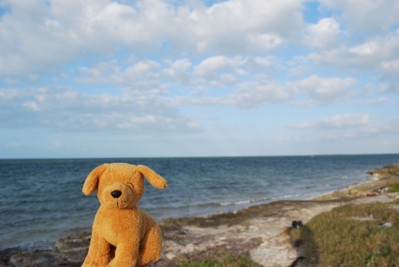 DSC_0042.JPG - West End