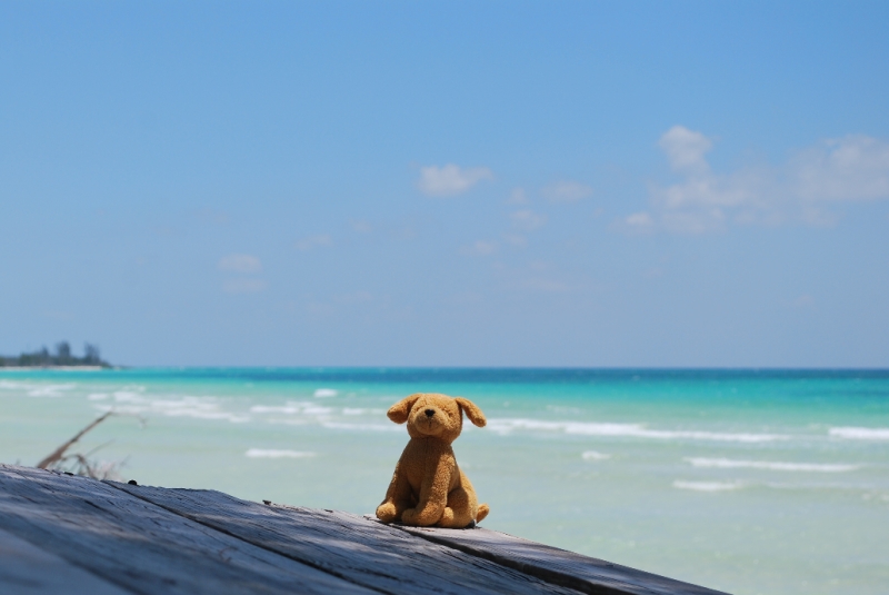 DSC_0062.JPG - Gold Rock Beach, Lucayan National Park