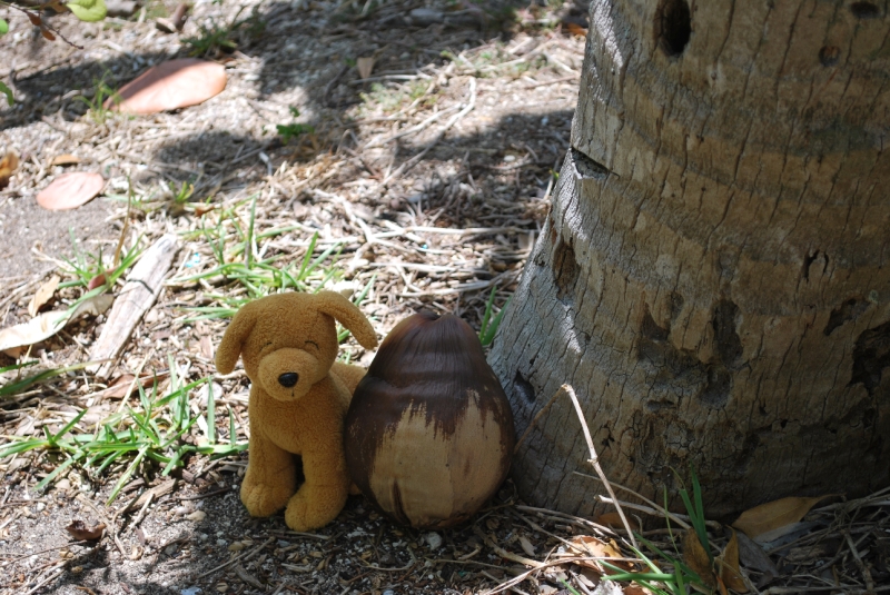 DSC_0082.JPG