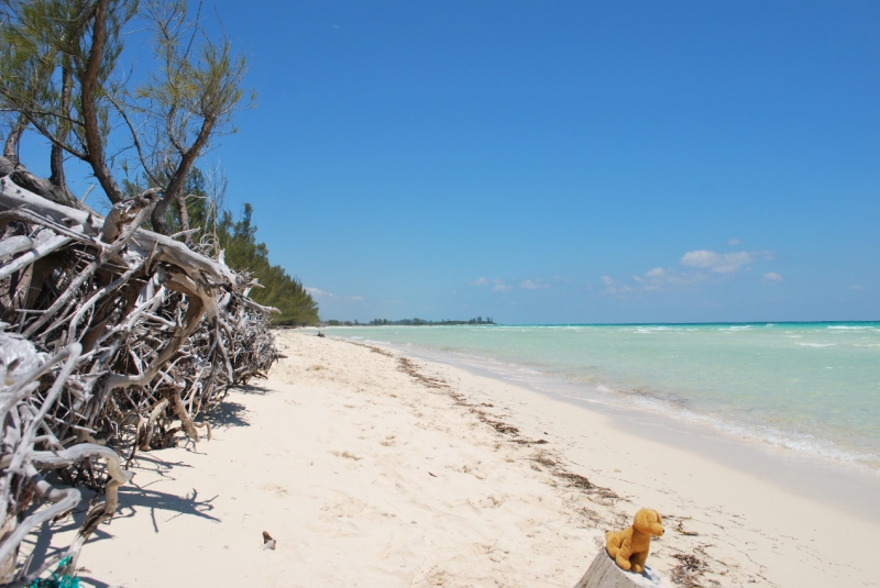 DSC_0097a.JPG