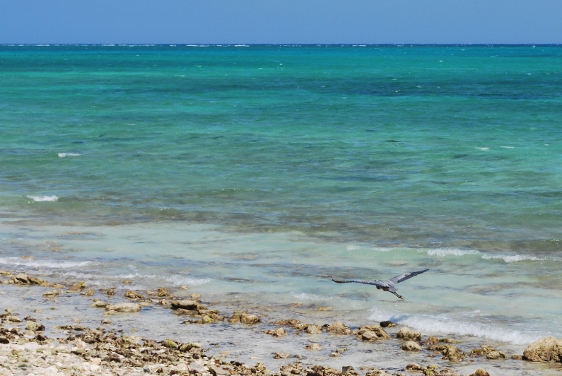 DSC_0115.JPG