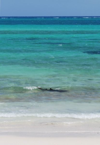 DSC_0127.JPG