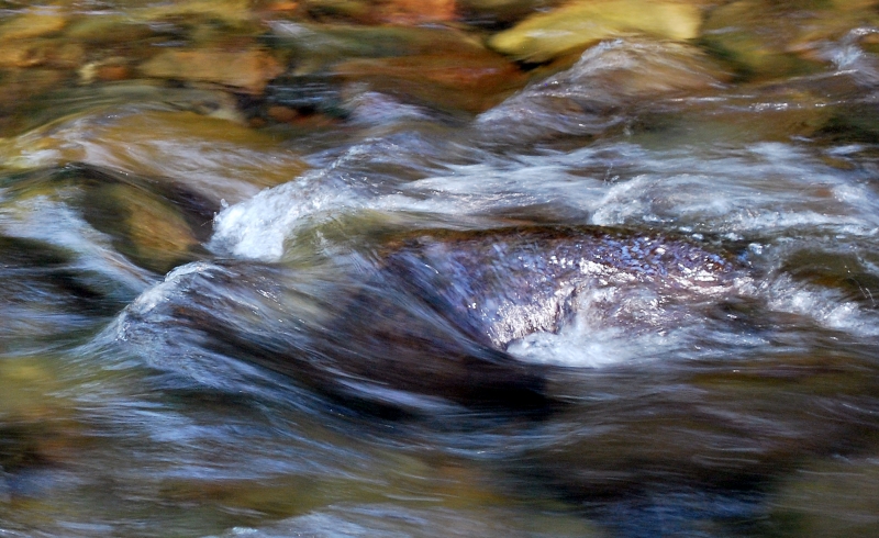 DSC_0009.JPG