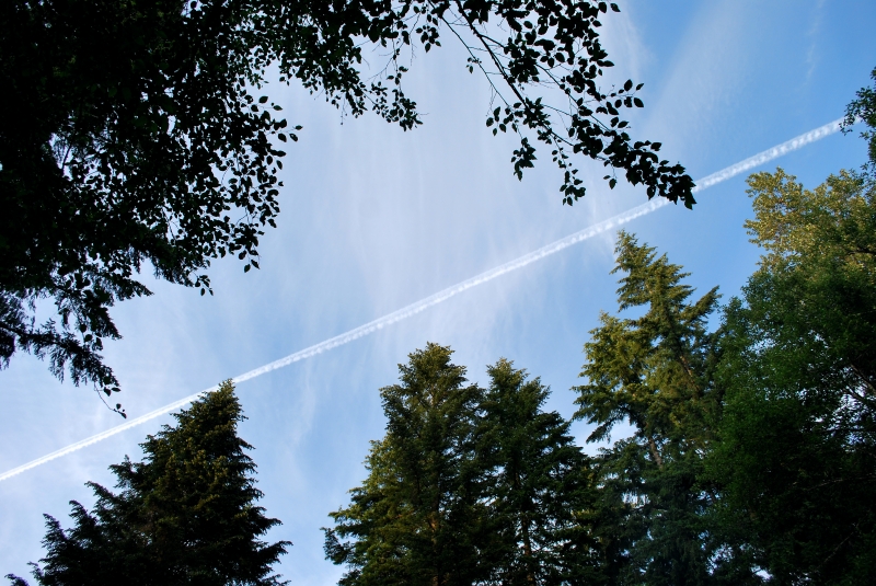 DSC_0032.JPG