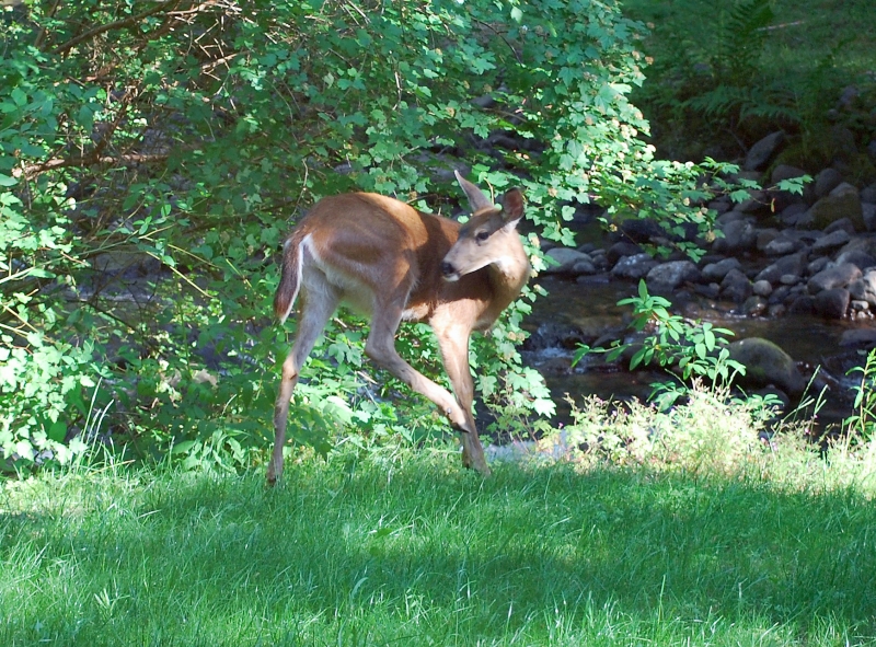 DSC_0041.JPG