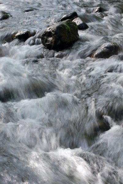 SC_0017.JPG