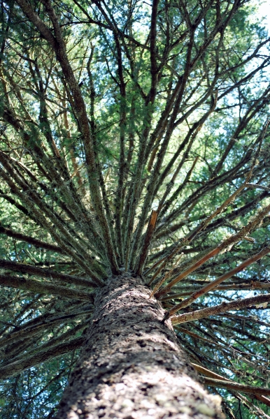 SC_0072.JPG