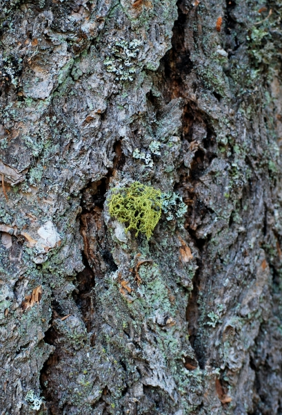 SC_0073.JPG