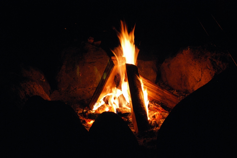 DSC_0042.JPG