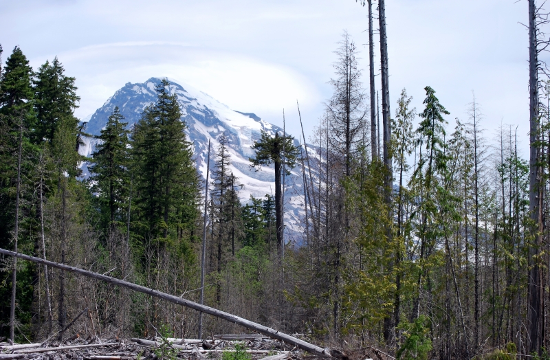 DSC_0015.JPG