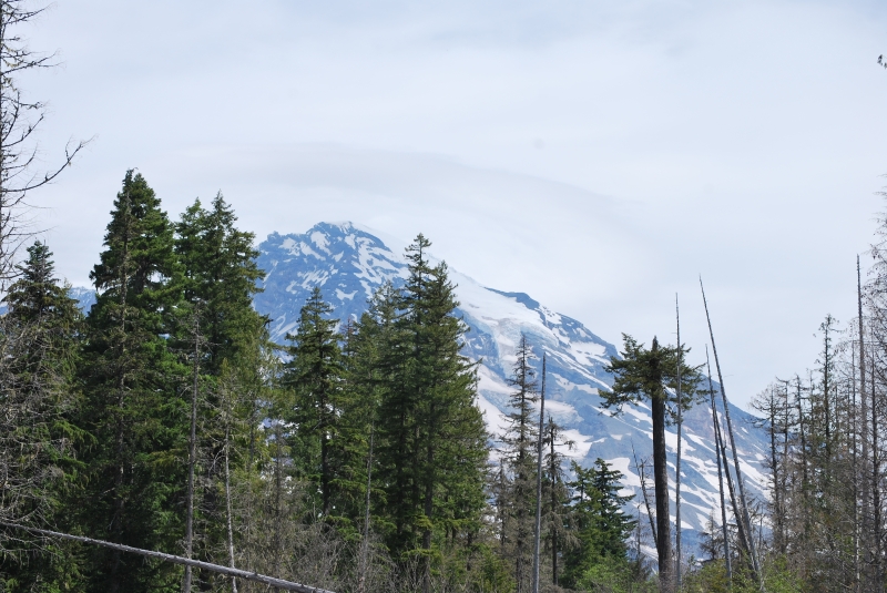 DSC_0023.JPG