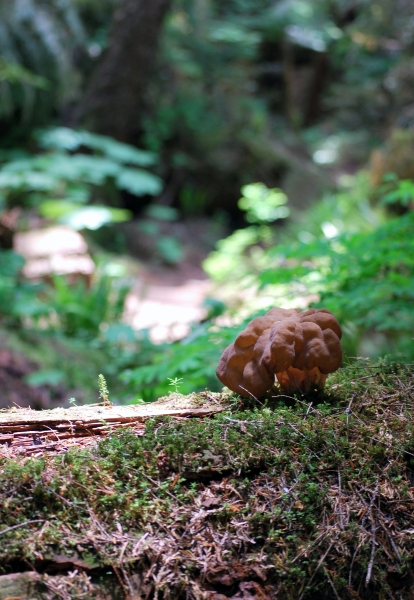 DSC_0051.JPG
