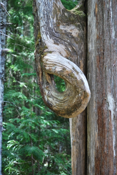 DSC_0104.JPG