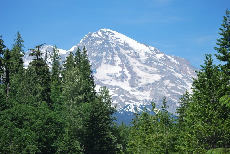 DSC_0031.JPG