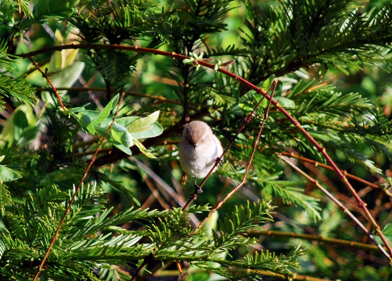 DSC_0248.JPG