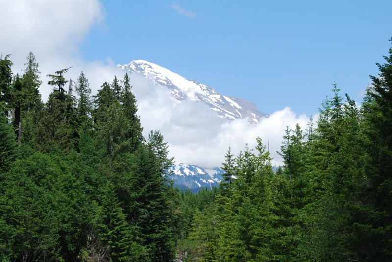 DSC_0023.JPG