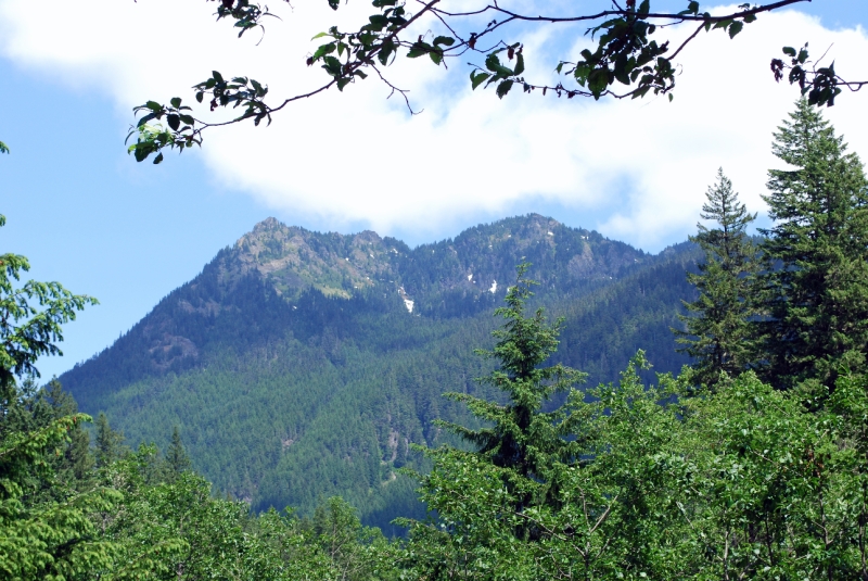 DSC_0030.JPG