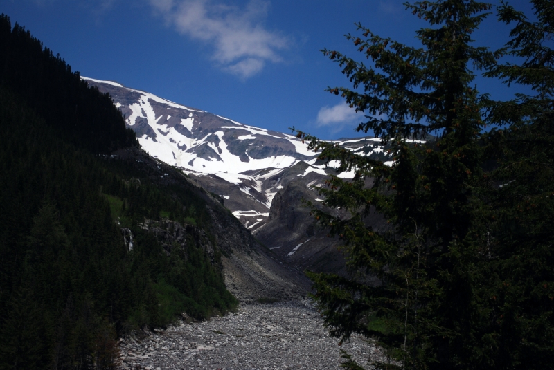 DSC_0042.JPG