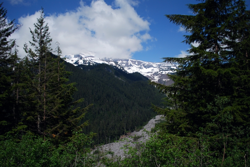 DSC_0046.JPG
