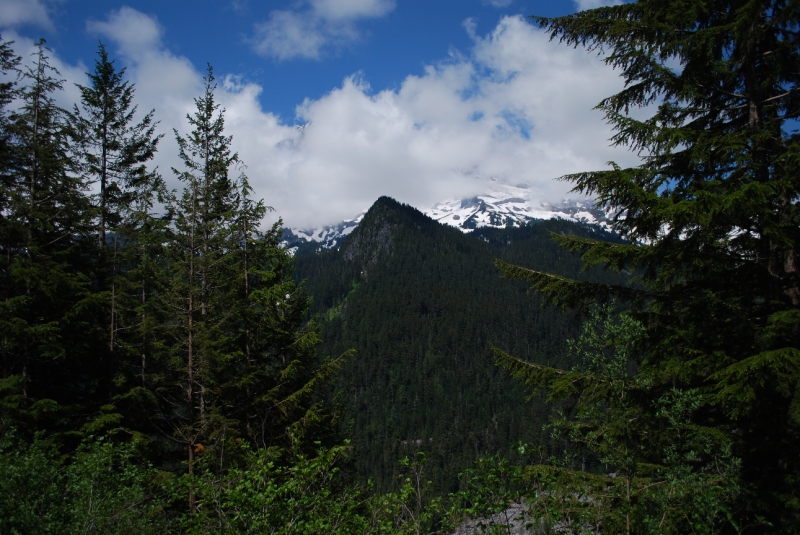 DSC_0047.JPG