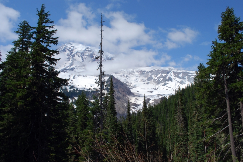 DSC_0111.JPG