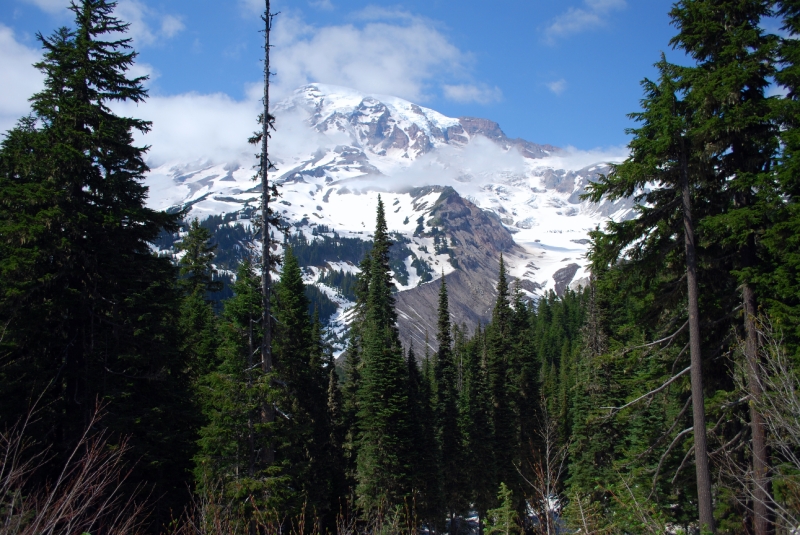 DSC_0120.JPG