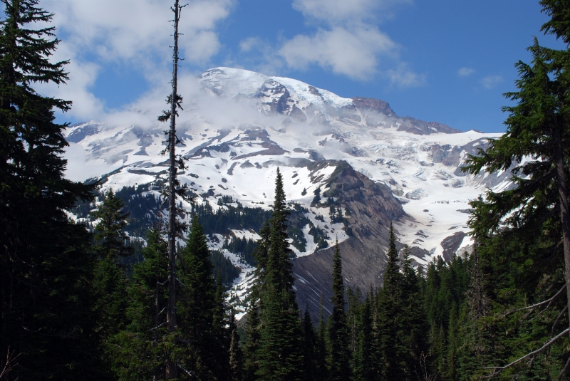 DSC_0132.JPG