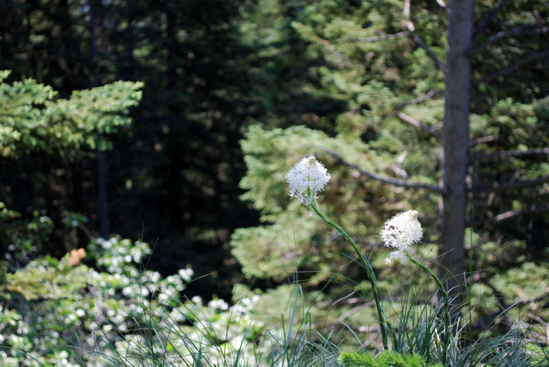 DSC_0145.JPG