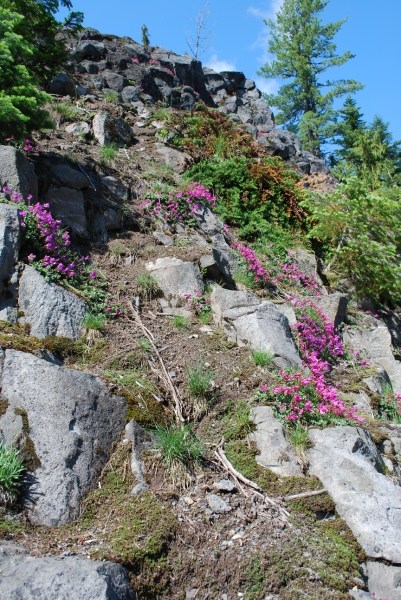 DSC_0152.JPG