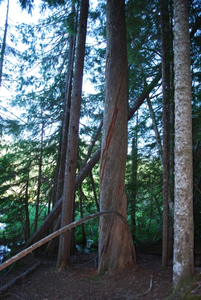 DSC_0067.JPG
