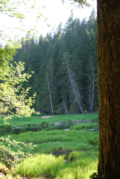 DSC_0074.JPG