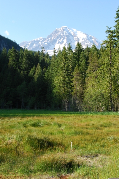 DSC_0093.JPG
