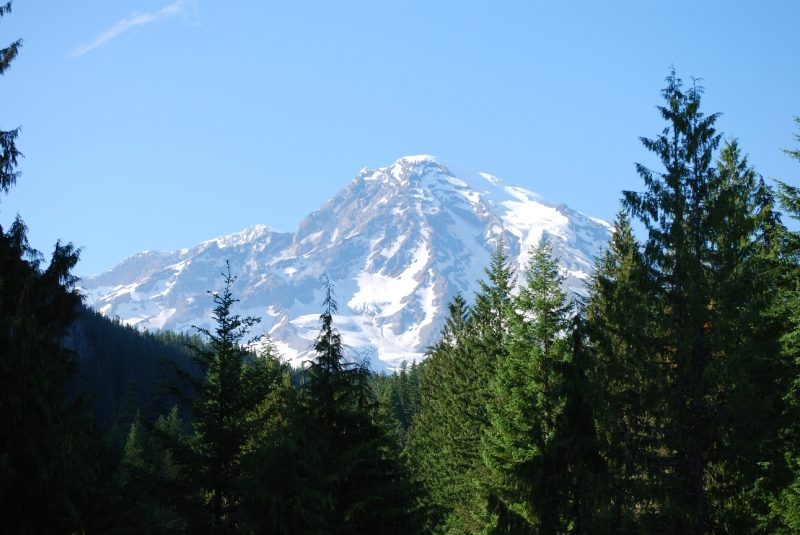 DSC_0115.JPG