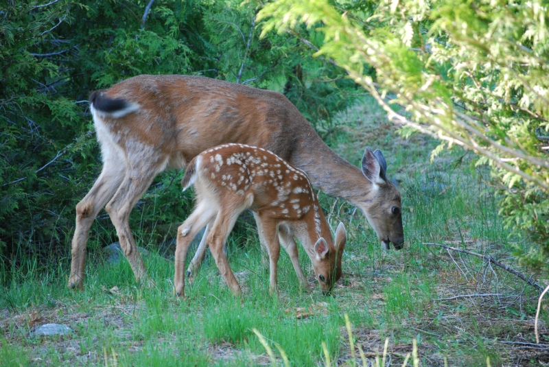 DSC_0122.JPG