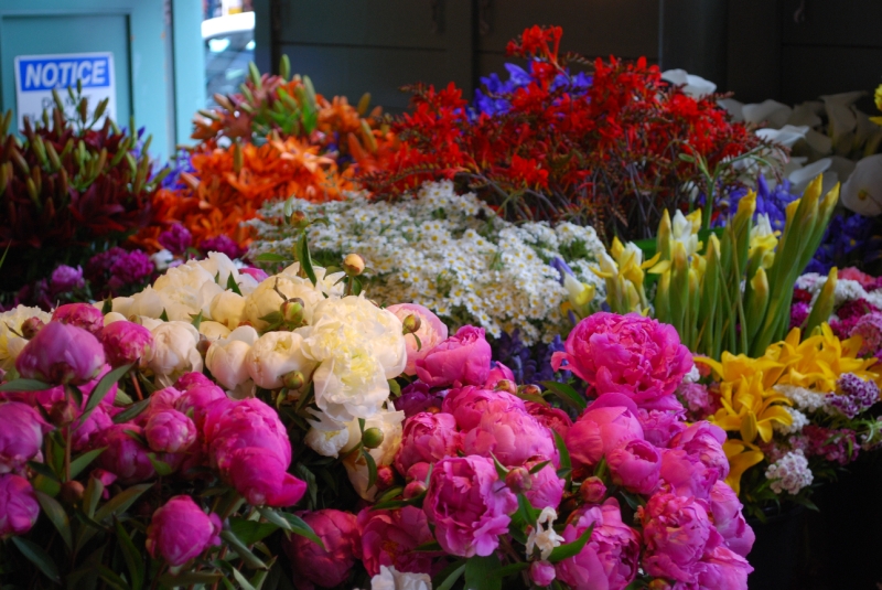 DSC_0023.JPG